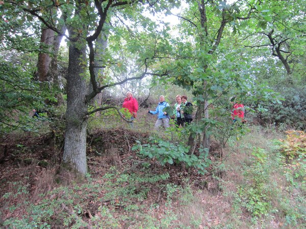 fruehwanderung_004.jpg