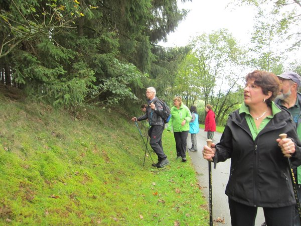 fruehwanderung_009.jpg