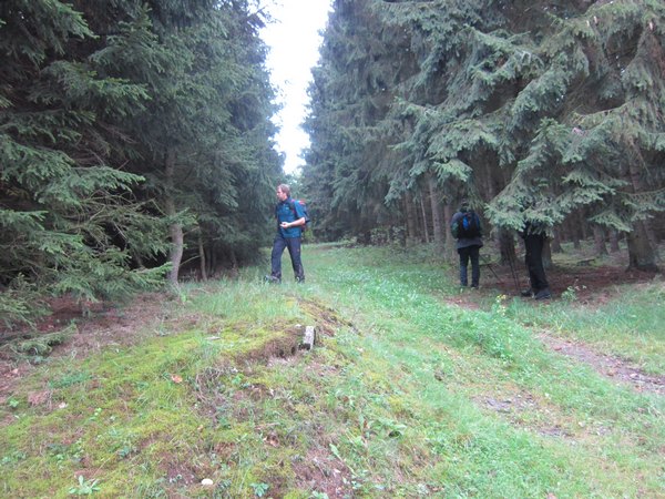 fruehwanderung_011.jpg