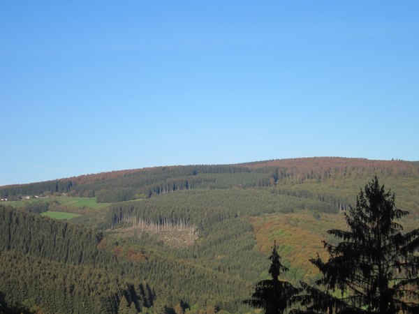 fruehwanderung_016.jpg